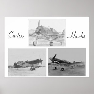 Curtiss Hawk family poster