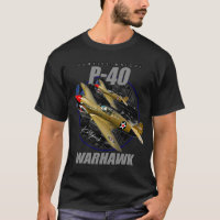 Curtiss P-40 Warhawk USAF WW2 Fighter Aircraft