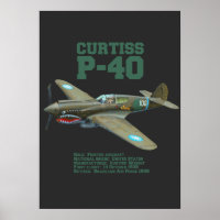 Curtiss P-40 Warhawk | WW2 Plane