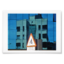 'Curve Reflection, Lion