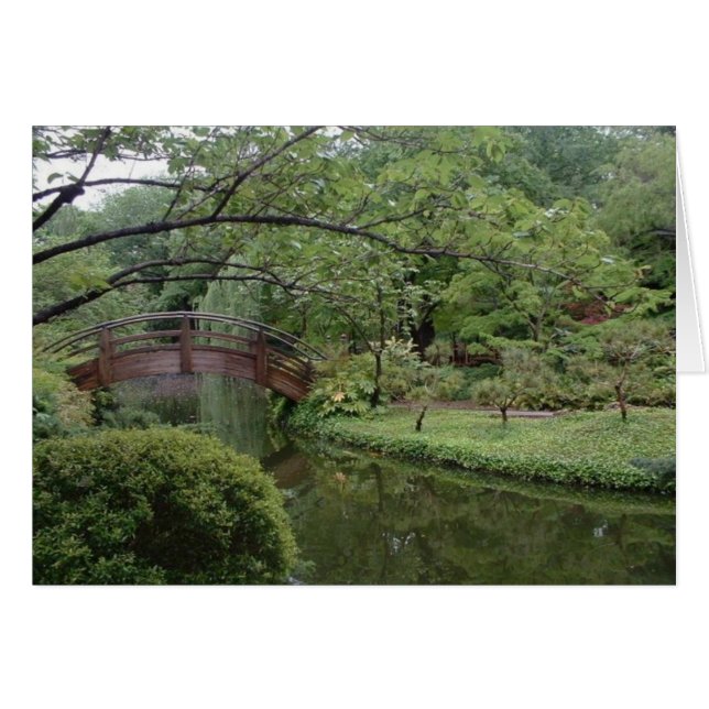 Curved Asian Bridge (Front Horizontal)