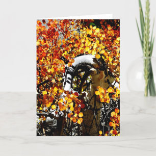 Curved Aspen in Autumn, Blank Greeting Card