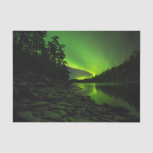 Curving Aurora Tissue Paper