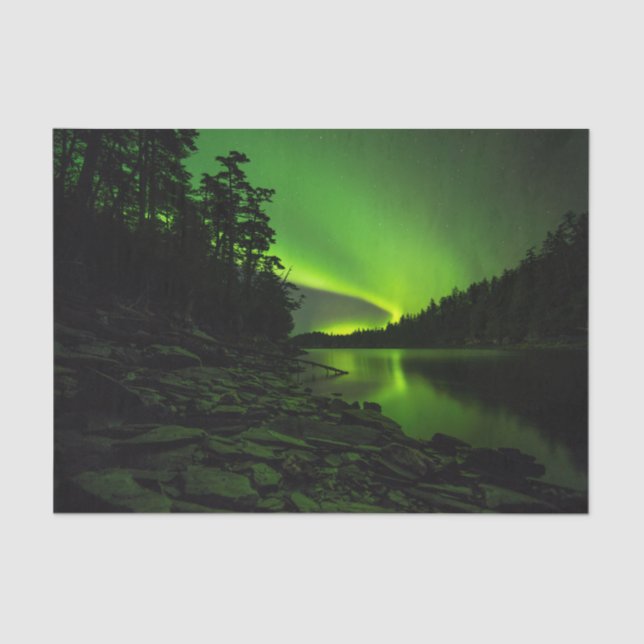 Curving Aurora Tissue Paper (Front)