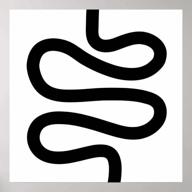 Curvy Line - Black on White Poster (Front)