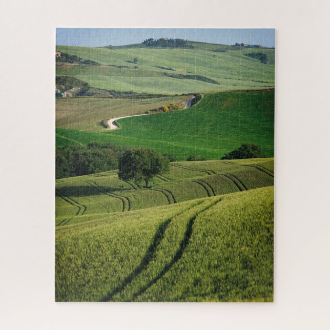 Curvy lines in a green Tuscany landscape Jigsaw Puzzle (Vertical)