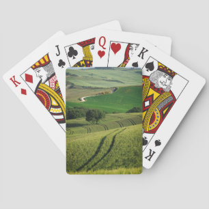 Curvy lines in green Tuscany poker deck