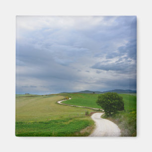 Curvy road towards a destination magnet