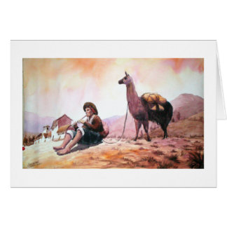 Cusco Peru Llama Picture
