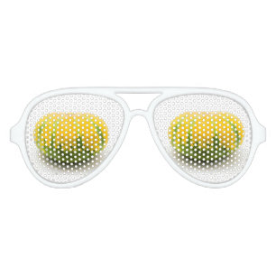 Cushaw squash aviator sunglasses