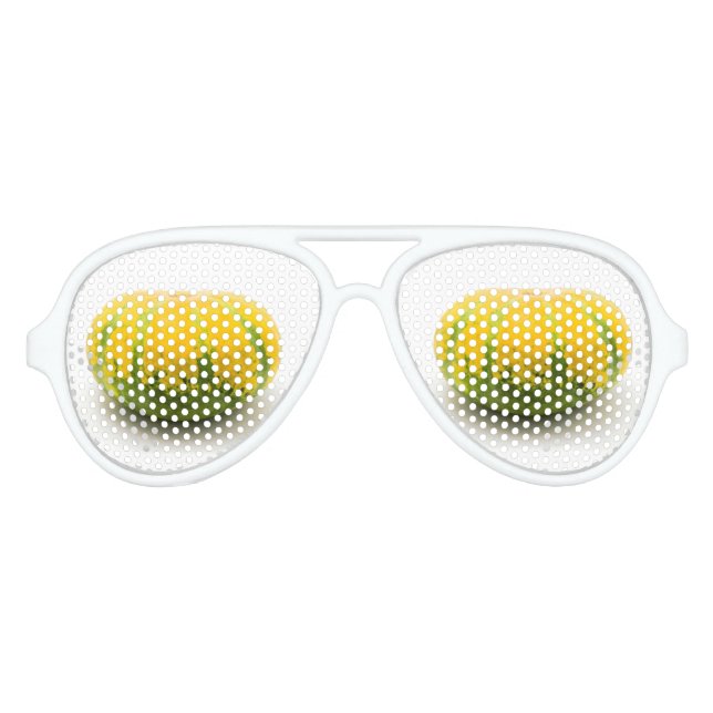 Cushaw squash aviator sunglasses (Front)