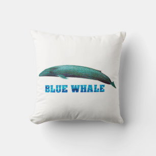 Cushion