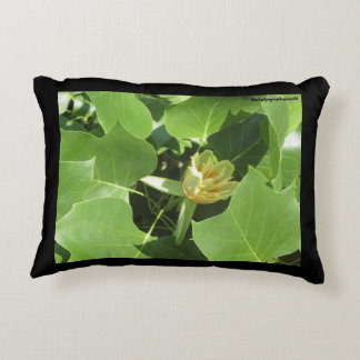 Cushion Métaséquoia and Tulipier 40x30 cm