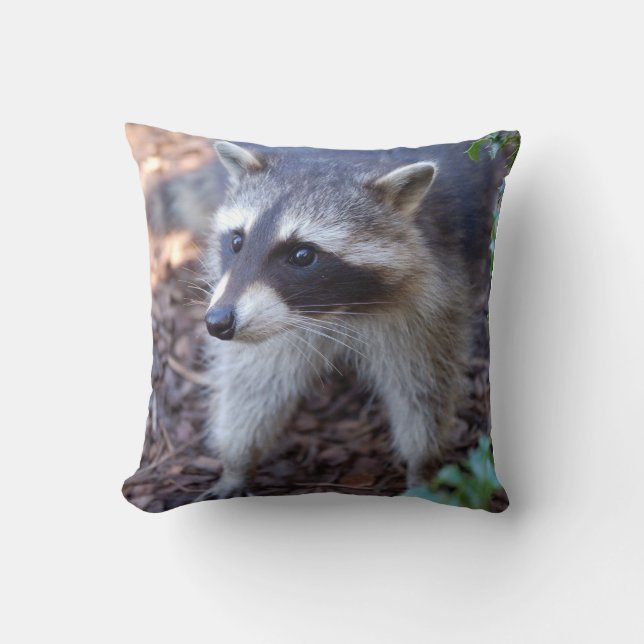 cushion Racoon (Front)