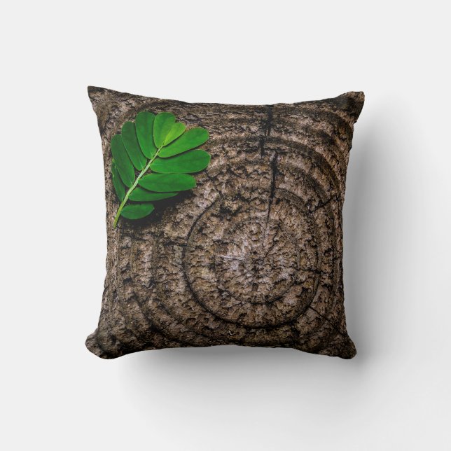 Cushions - sofa pillows (Front)