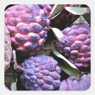 Custard Apple Cherimoya Square Sticker
