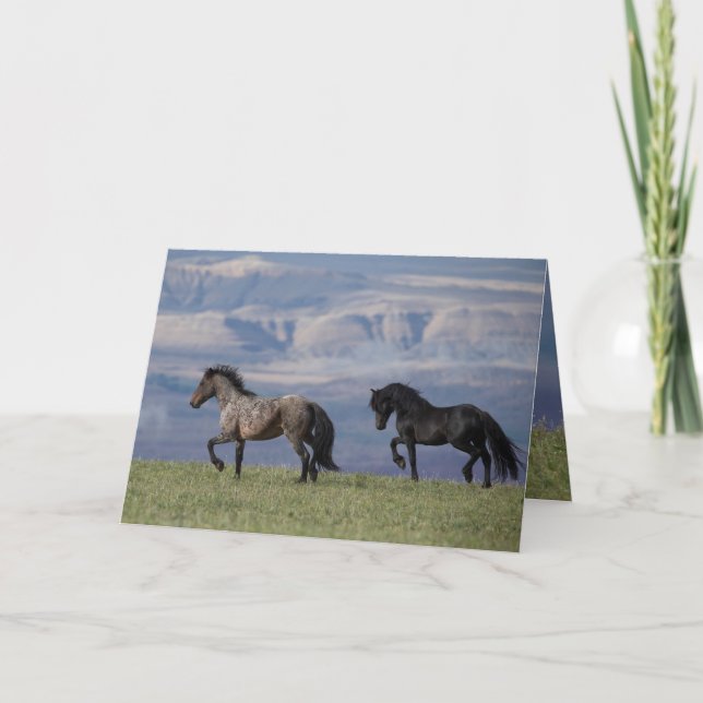 Custer and Galaxy - Wild Horse Greeting Card (Front)