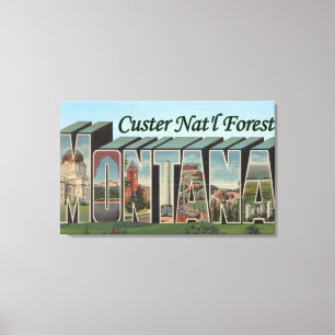 Custer Nat'l Forest, Montana Canvas Print
