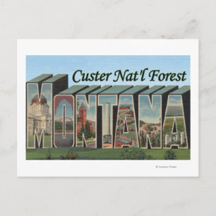 Custer Nat'l Forest, Montana Postcard