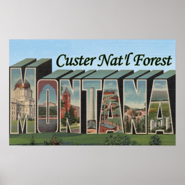 Custer Nat'l Forest, Montana Poster (Front)