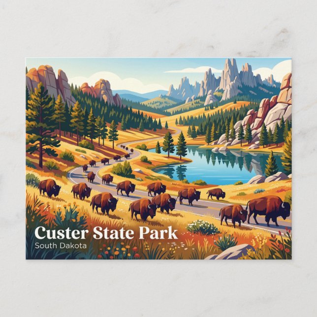 Custer State Park USA Postcard (Front)
