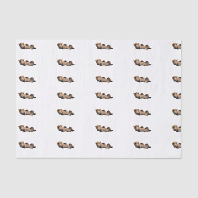 Custom 10lb Tissue Paper, White with bear cub Tissue Paper (Front)