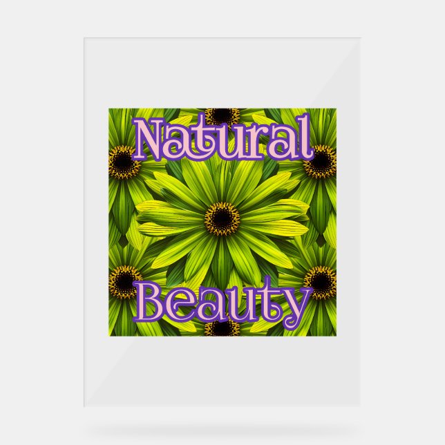 Custom 18" x 24" Acrylic Sign (Front)