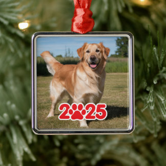 Custom 2025 Pet Photo Metal Tree Decoration
