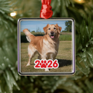Custom 2026 Pet Photo Metal Tree Decoration