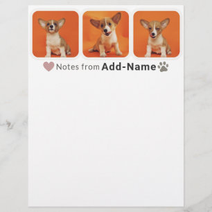 Custom 3 Photo Collage Pet Dog Name Picture On Letterhead