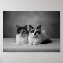 Custom 4K Black & White Pet Portrait Poster – Prof