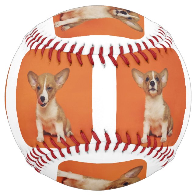 Custom 8 Photo Collage of Your Pet Dog Picture on Softball (Back)