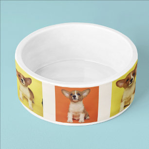 Custom 9 Photo Collage Your Pet Dog Picture On Bowl