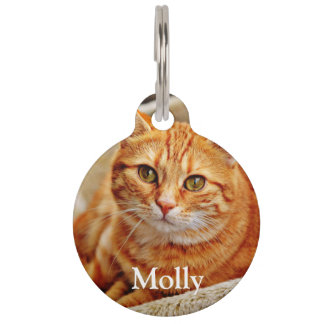 Custom add your favorite pet cat photo and details tag