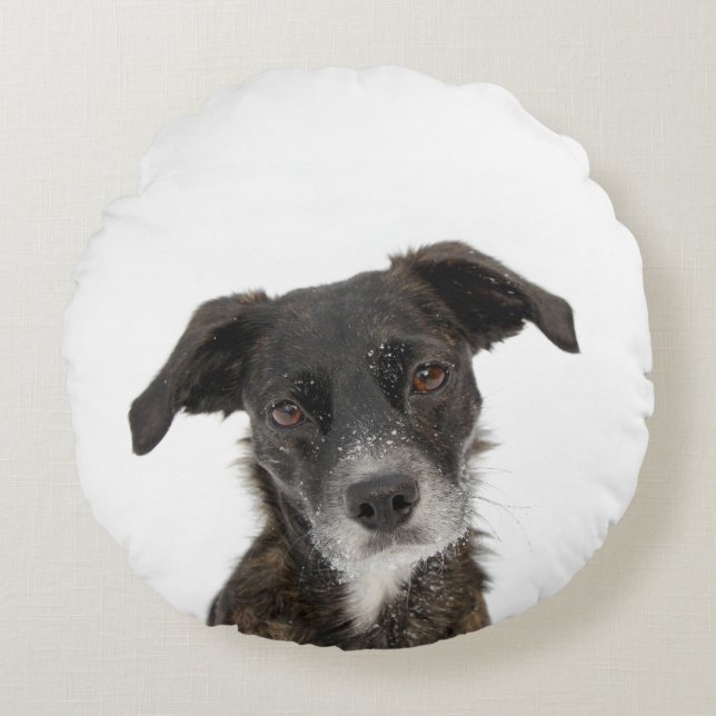 Custom add your own pet dog photo personalised round cushion (Front)