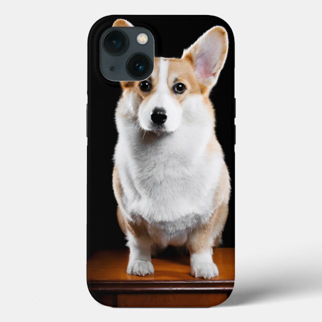 Custom Add Your Pet Photo Case-Mate iPhone Case (Back)