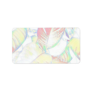 Custom Address Labels