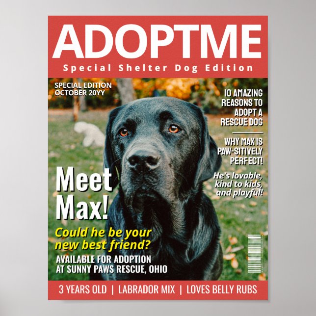 Custom Adopt a Pet Magazine Cover, Animal Shelter Poster (Front)