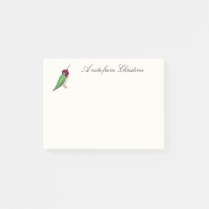 Custom Anna's Hummingbird Notes