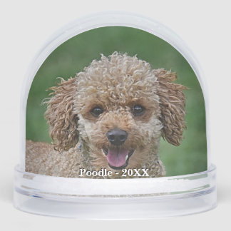 Custom Apricot Poodle Dog Photo Snowglobe