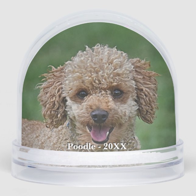 Custom Apricot Poodle Dog Photo Snowglobe (Front)