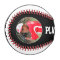 Custom Baseball Team, Player Name, Photo & Number