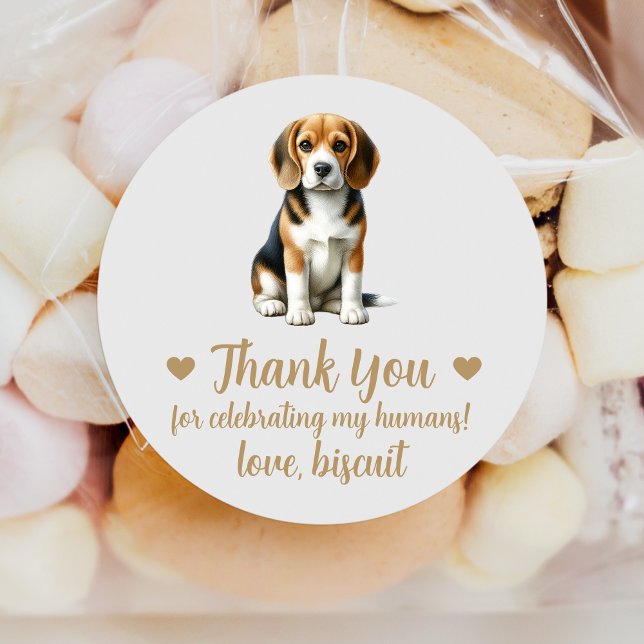 Custom Beagle Dog Wedding Favour Stickers (Creator Uploaded)
