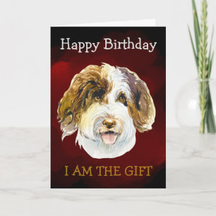 Custom Birthday Card from your Australian Doodle