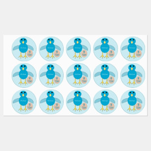 Custom Blue Birthday Boy Chick