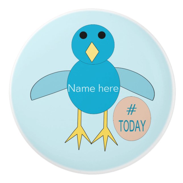 Custom Blue Birthday Boy Chick Ceramic Knob (Front)