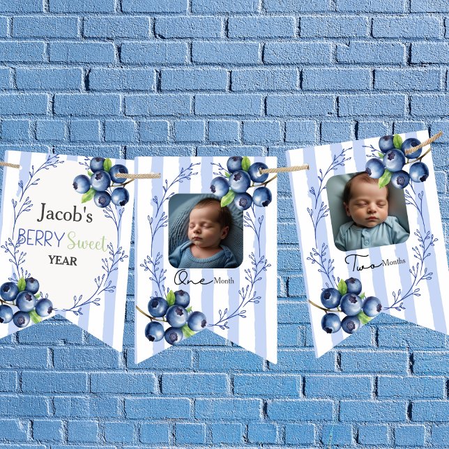 Custom  Blueberry 1st Birthday 12 Photo   Bunting (Berry Sweet Book Request boy Enclosure Card)