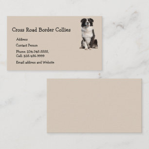 Custom Border Collies Dog Pet Animal Logo Business Business Card