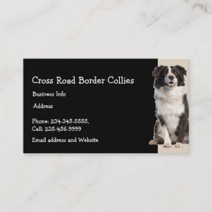 Custom Border Collies Dog Pet Animal Logo  Business Card