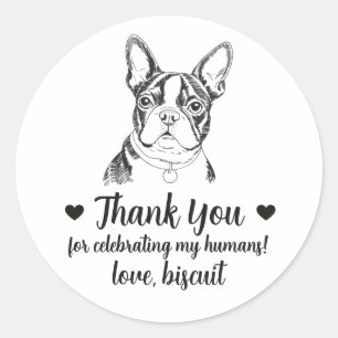 Custom Boston Terrier Dog Wedding Favour Stickers